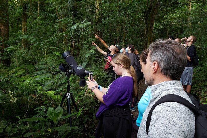 One Day Of Nature in Monteverde  - Photo 1 of 9